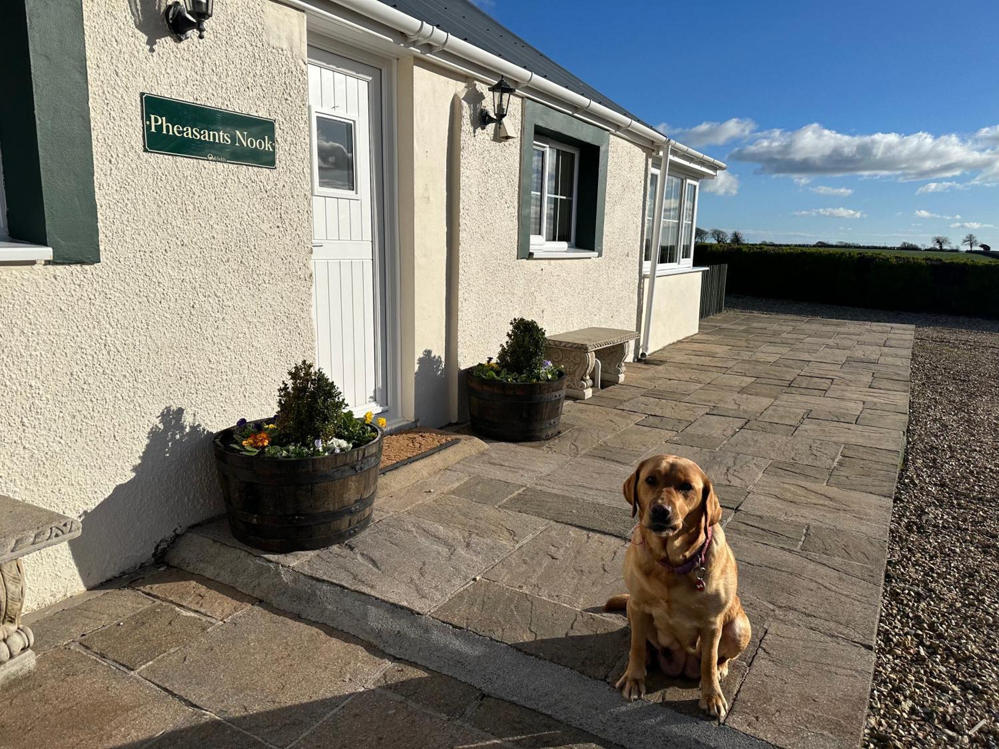 Apartamento Pheasants Nook Narberth Exterior foto